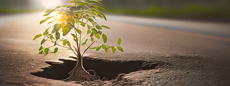 Approaching savings from different perspectives